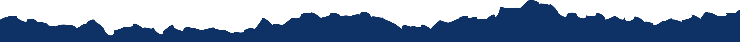 Footer logo